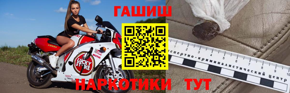 ГАШ Cannabis Лесной