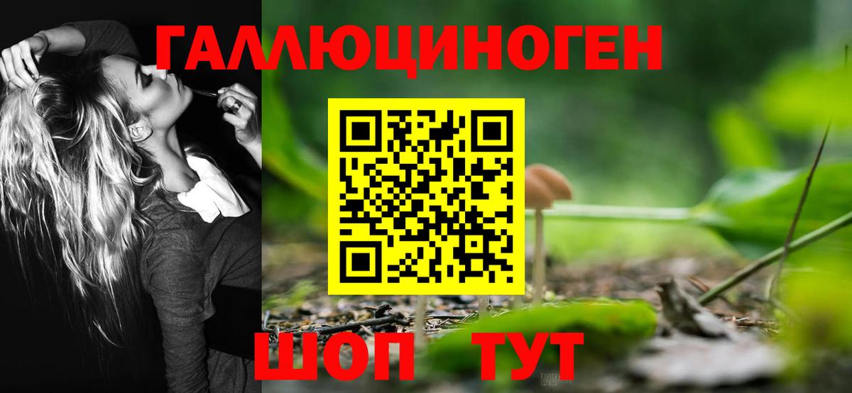 Псилоцибиновые грибы мицелий  Псилоцибиновые грибы мицелий  Вход с VPN  Лесной 